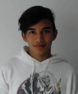User image